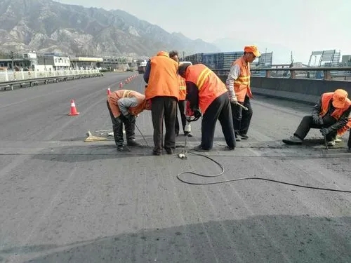 尉犁道路桥梁病害治理